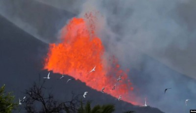 Erupción de volcán de las Islas Canarias