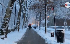 Tormenta invernal deja más de 30 centímetros de nieve en noreste de EEUU