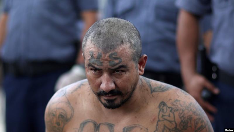 Mara Salvatrucha