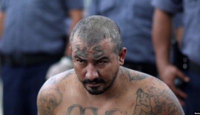Mara Salvatrucha